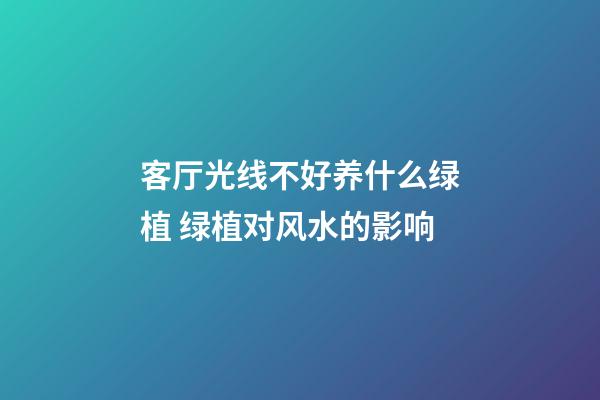 客厅光线不好养什么绿植 绿植对风水的影响